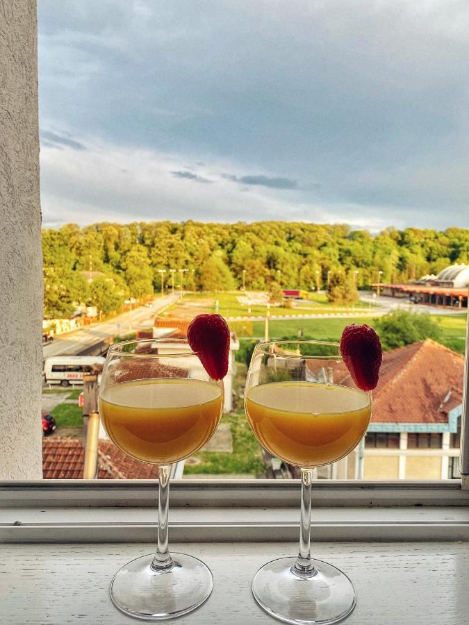 Apartmani Banja Spa Vrnjačka Banja Extérieur photo